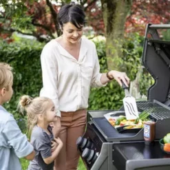 Barbecue Gaz Rogue 365 R 2 Brûleurs - NAPOLEON -Napol Barbecues Magasin barbecue gaz rogue 365 serie r 2 bruleurs 2