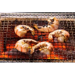 Barbecue Japonais Konro Stove 54 X 23 X 20 Cm BQ8WF -Napol Barbecues Magasin barbecue japonais konro stove 54 x 23 x 20 cm bq8wf 4